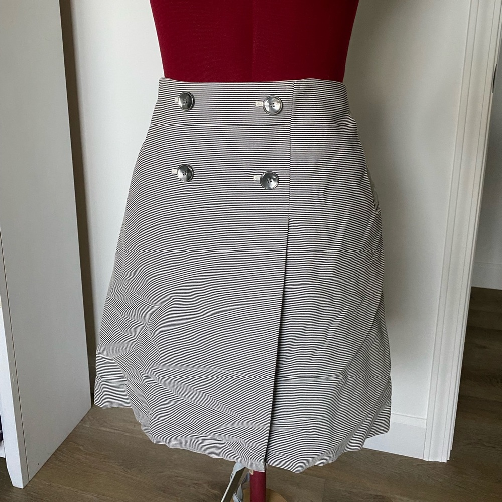 The Limited Skirt